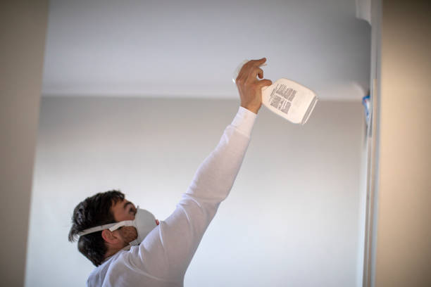 Best White Mold Remediation in Osceola, MO