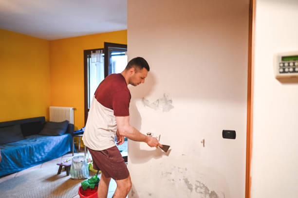 Best Post-Remediation Services in Osceola, MO